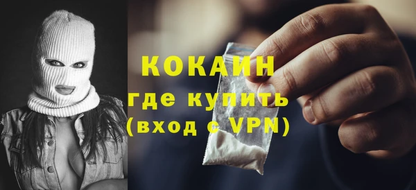 дмт Богданович
