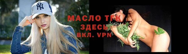 дживик Бронницы