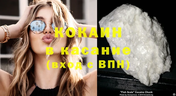 дмт Богданович