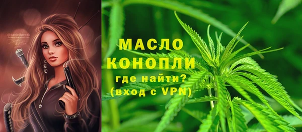 дмт Богданович
