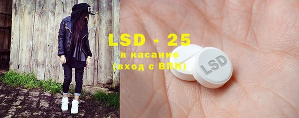 дмт Богданович