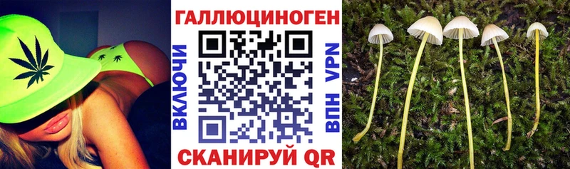Галлюциногенные грибы прущие грибы  Петропавловск-Камчатский 